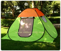 tent silver.12